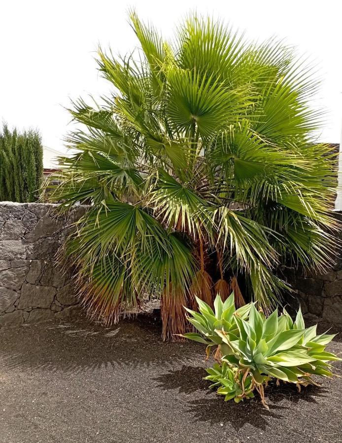 Villa Fortuna Playa Blanca  Exterior photo